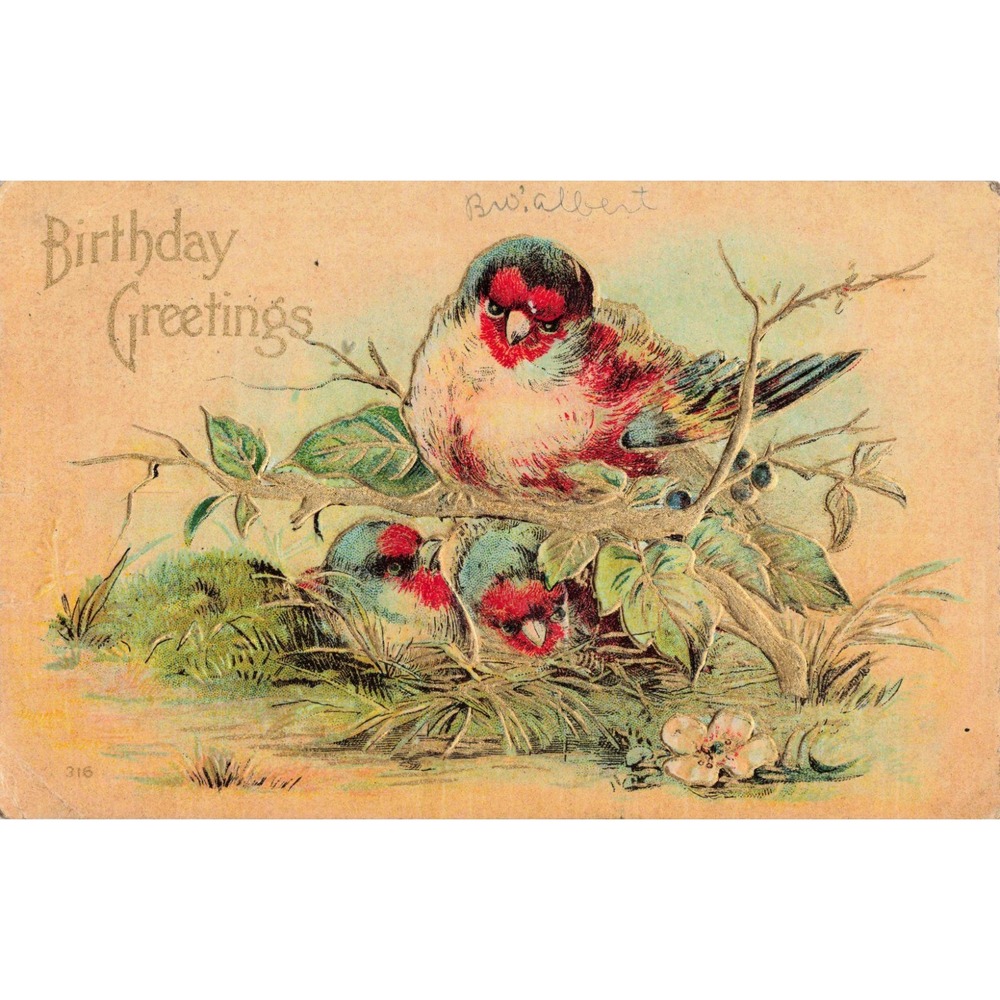 Antique Birthday Greetings Postcard Birds Nest 1905 Union NY Postmark Embossed - Picture 1 of 2